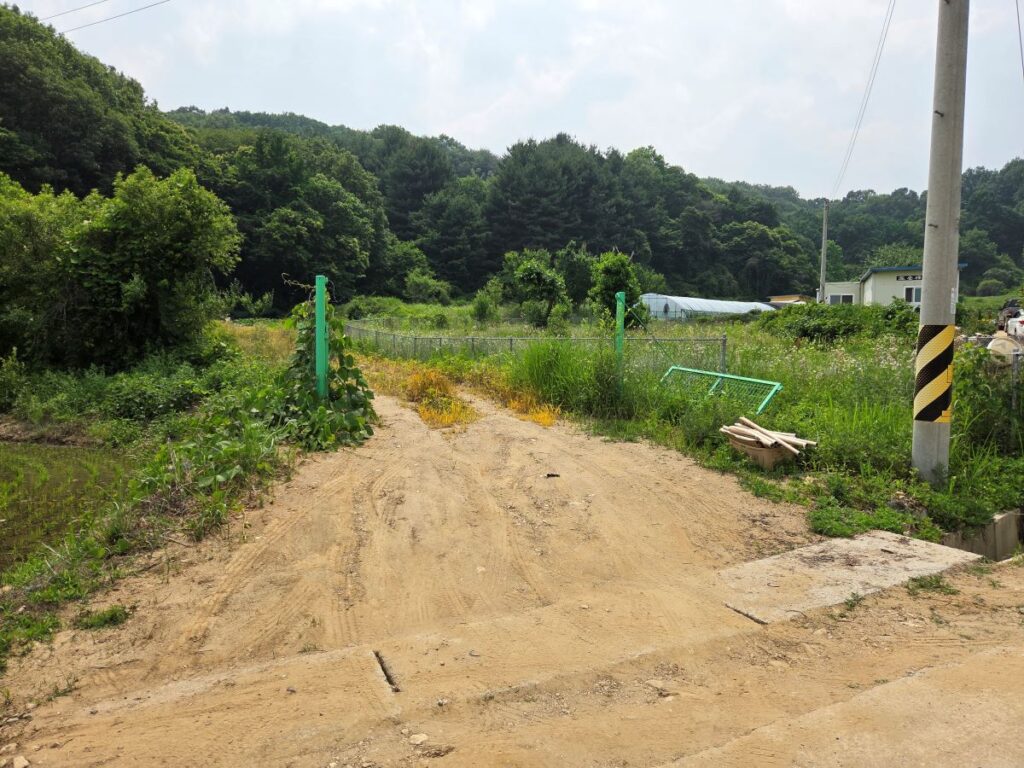 예산군 옹안리 귀촌 현장답사에서 확인한 진입로 시작점과 차량 접근 동선