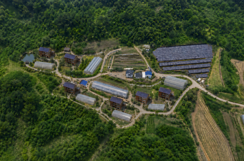 예산군 옹안리 귀촌 온실하우스 구상에서 주거동과 온실하우스 배치 방향을 보여주는 예시 조감도