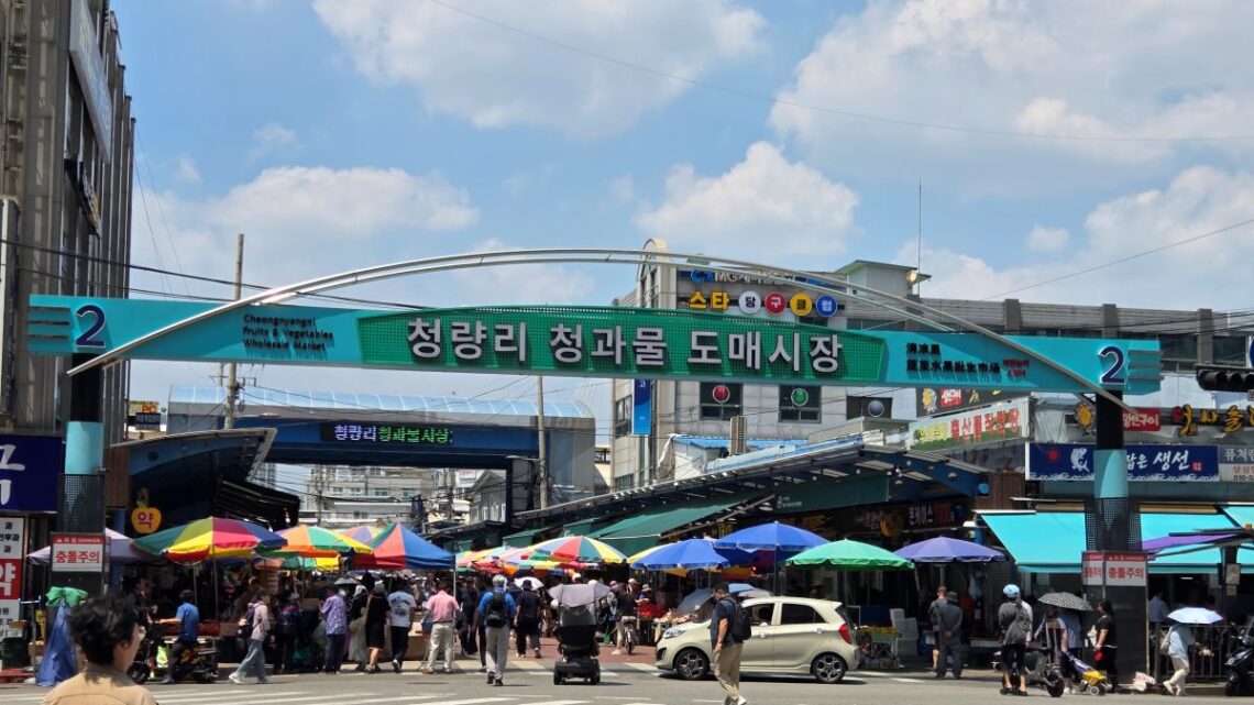청량리 청과물 도매시장 2번 게이트 입구 전경과 시장 방문객, 우산, 상가 간판이 보이는 실제 현장 모습