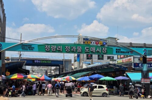 청량리 청과물 도매시장 2번 게이트 입구 전경과 시장 방문객, 우산, 상가 간판이 보이는 실제 현장 모습