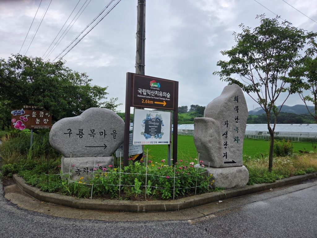 익산 웅포면 입점리 온실하우스 입구와 주변 농로 및 농촌 마을 진입 환경