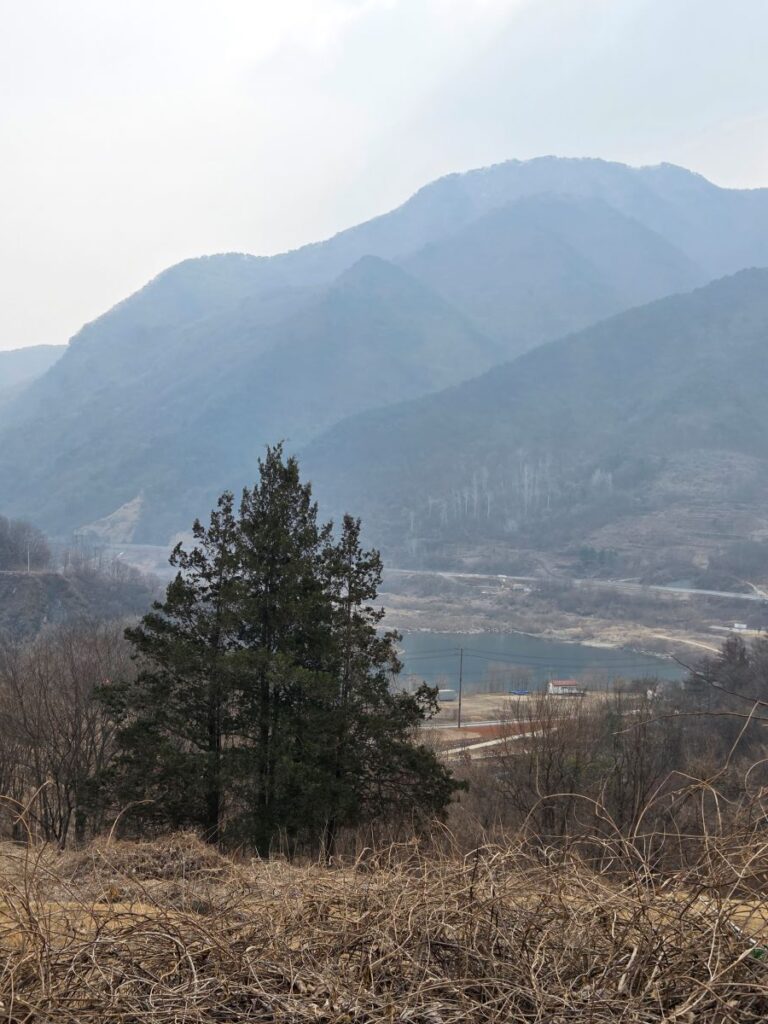 강원 영월 토지 개발을 준비하며 봄에 방문해 확인한 현장 전경